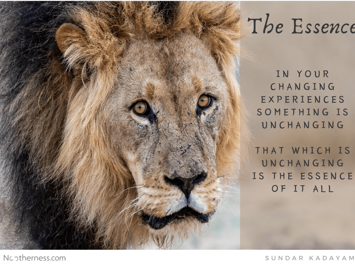 The Essence Of It&nbsp;All