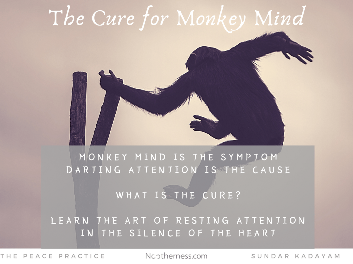 The Cure for Monkey&nbsp;Mind