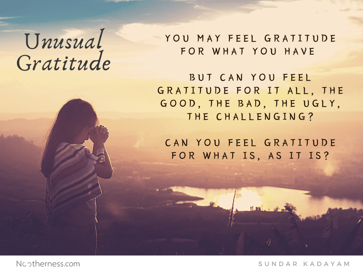Unusual Gratitude