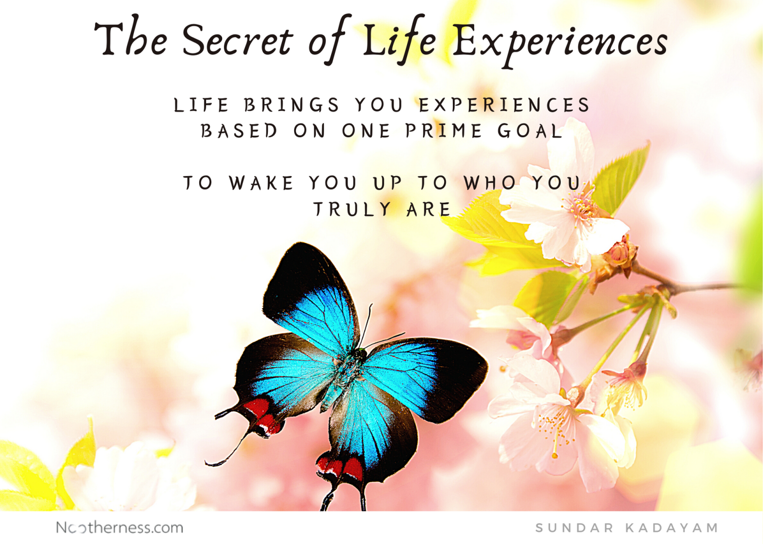 What is the secret of life experiences?
