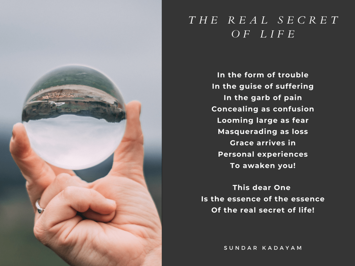 The Real Secret of&nbsp;Life