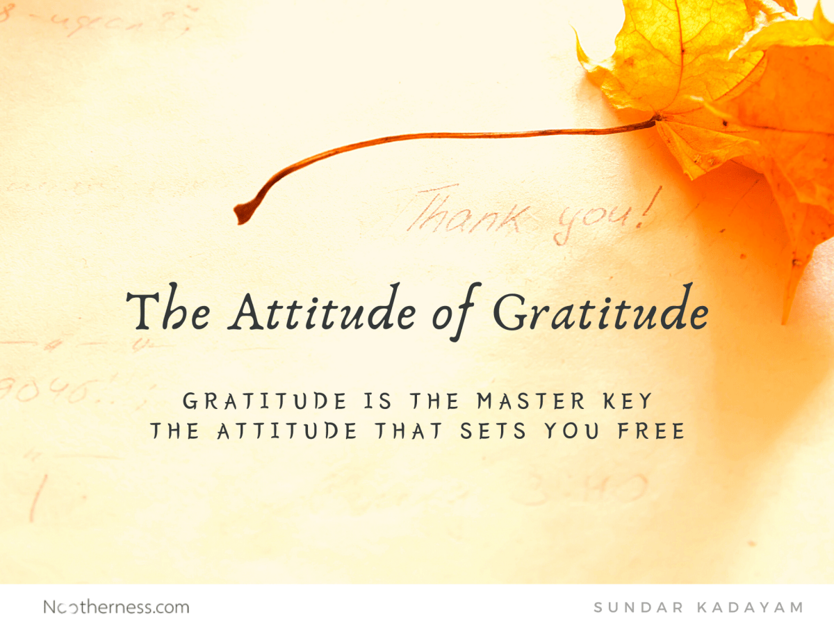 The Attitude of&nbsp;Gratitude